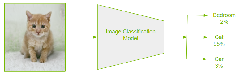 Input and Outputs for Image Classification